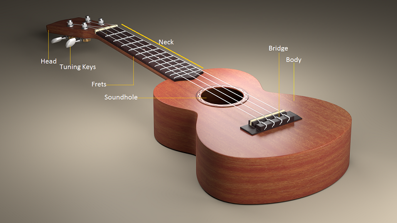 ukulele body structure