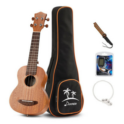 donner soprano ukulele DUS-1