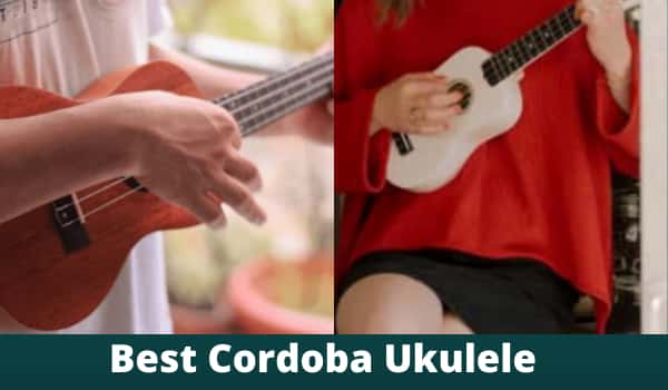 Best Cordoba Ukulele