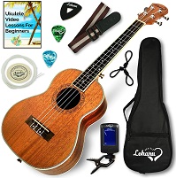 Ukulele under $100