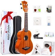 Best ukes under $100