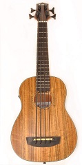 Bass_2020_06_15_S_3