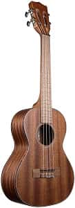 Best ukuleles under $300