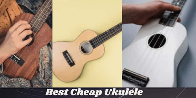 Best Cheap Ukulele