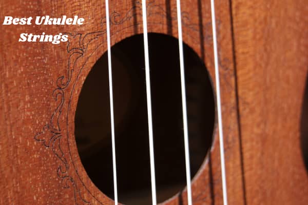 Best Ukulele Strings Reviews in 2022: Tips to Buy - Ukuleles Review