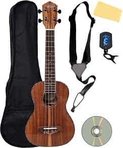 Best Oscar Schmidt Ukuleles