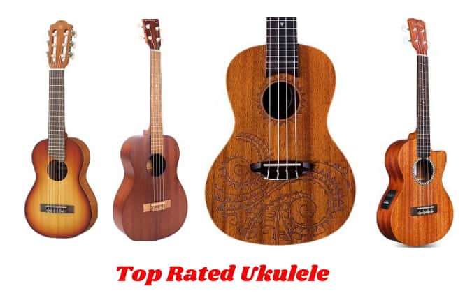 Top Rated Ukulele