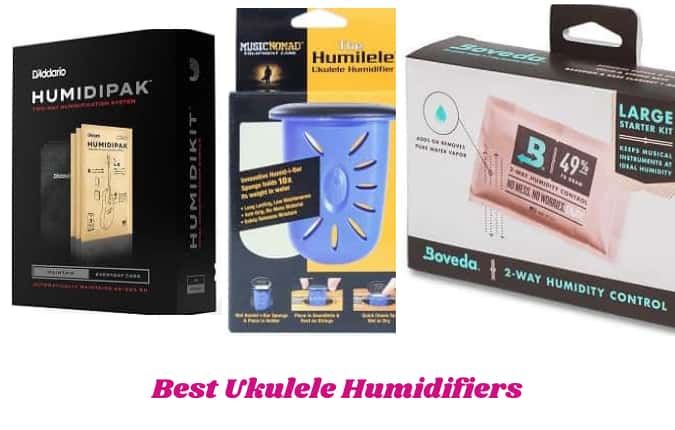 Best Ukulele Humidifiers