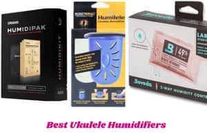 Best Humidifiers for Ukulele