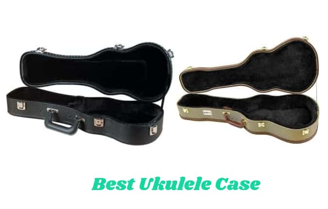 Best Ukulele Case