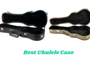 Best Ukulele Cases