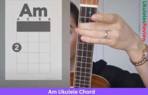 How to play Am Ukulele Chord with 4 Easy Variations - Ukuleles Review