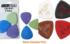 Best Ukulele Pick Reviews in 2023: Top 10 Models - Ukuleles Review