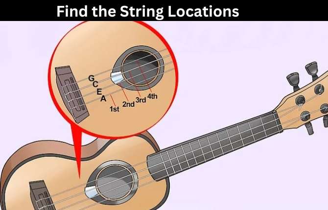 Find the String Locations