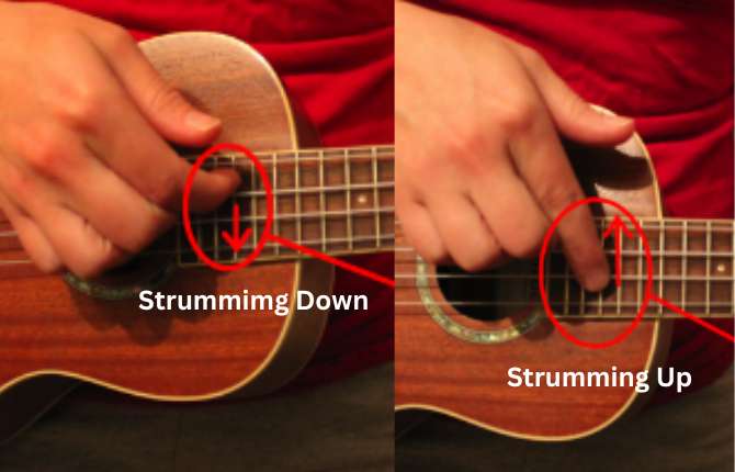 Notation of Ukuleke Strumming