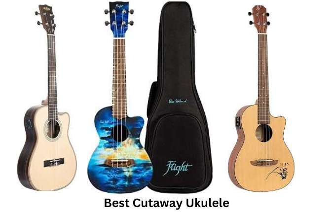 Best Cutaway Ukulele