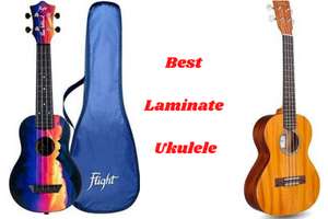 Best Laminate Uke