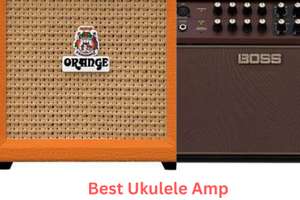 Best Uke Amp