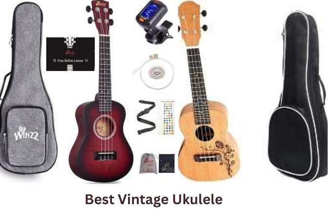 Best Vintage Ukulele
