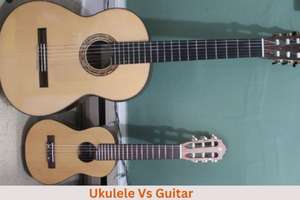 Uke Vs Guitar