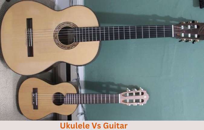 Ukulele Vs Guitar