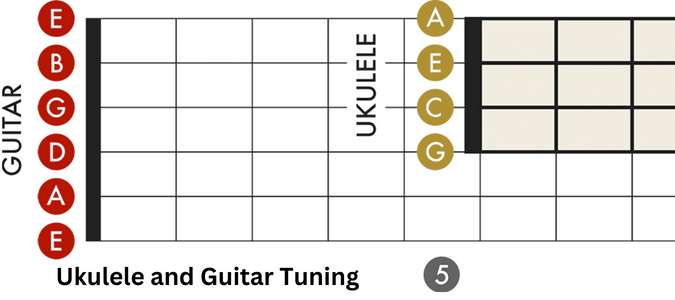 Ukulele Vs Guitar Tuning