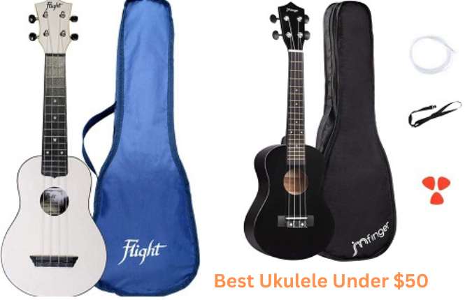 Best Ukulele Under $50