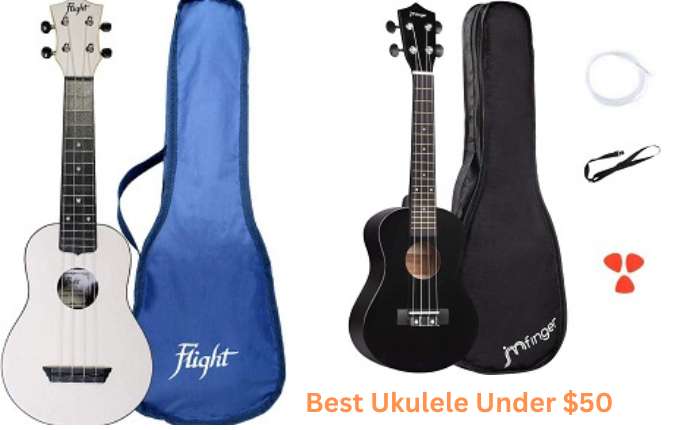 undskyld rack forgænger Best Ukulele Under $50 Reviews in 2023: Top 6 Models - Ukuleles Review