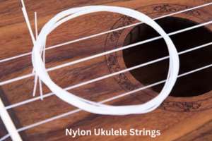 Best Nylon Ukulele String