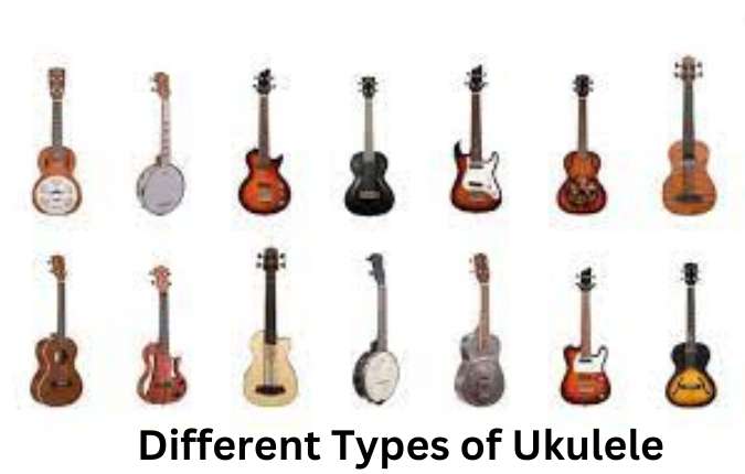 Different Types of Ukulele