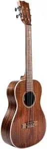 Best ukulele under 500 dollars