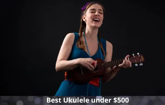 Best Ukulele under $500