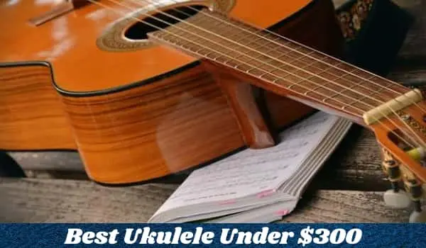 Best Ukulele Under $300