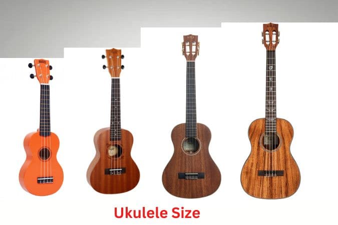 Ukulele Size