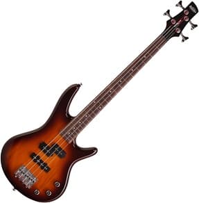 Ibanez MiKro